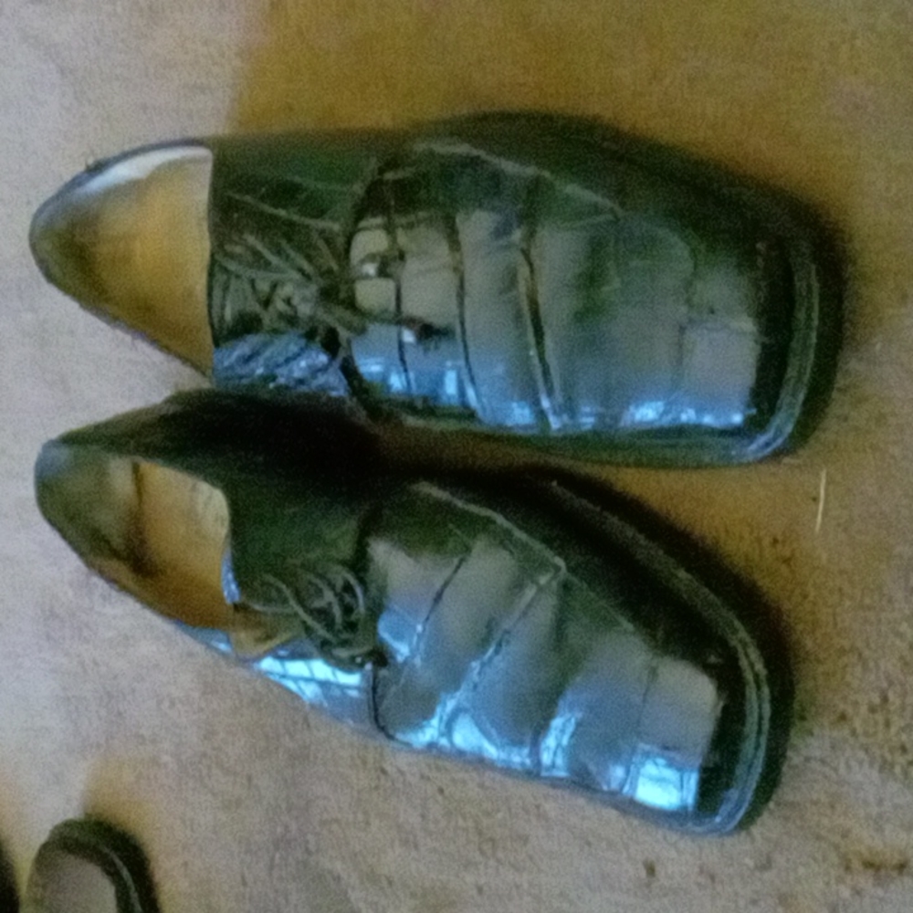 Mauri Millennium full alligator shoes